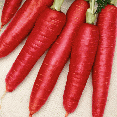 Raw Carrot Juice