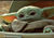 Baby Yoda
