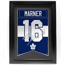 Leafs banner
